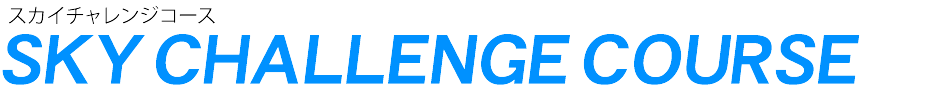 ドローンスクールジャパン 千葉佐倉校 チャレンジコース